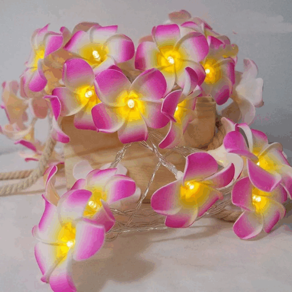 Plumeria Flower LED Fairy String Light – Decorative LED String Lights for Bedroom, Party, Wedding & Home Decor